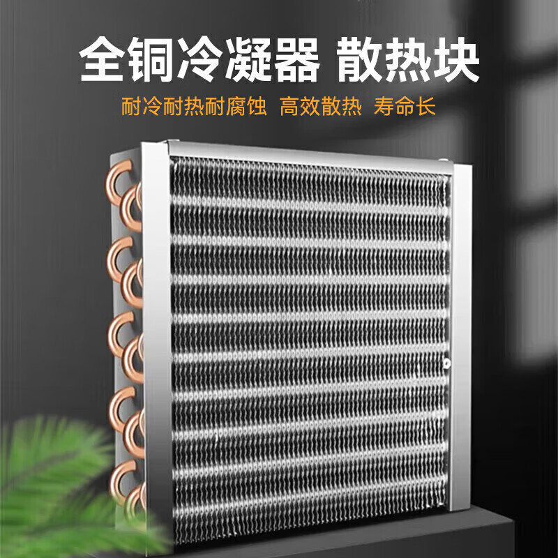 吕氏贵宾会标准A款220V双阀双泵可乐机商用500W